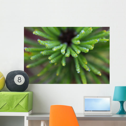 Up Water Droplets Tips Wall Decal