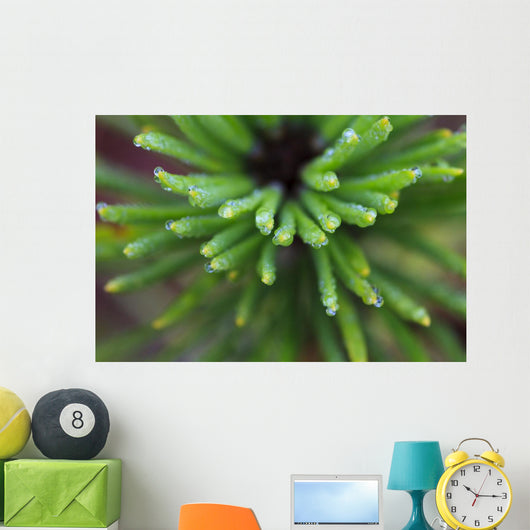 Up Water Droplets Tips Wall Decal