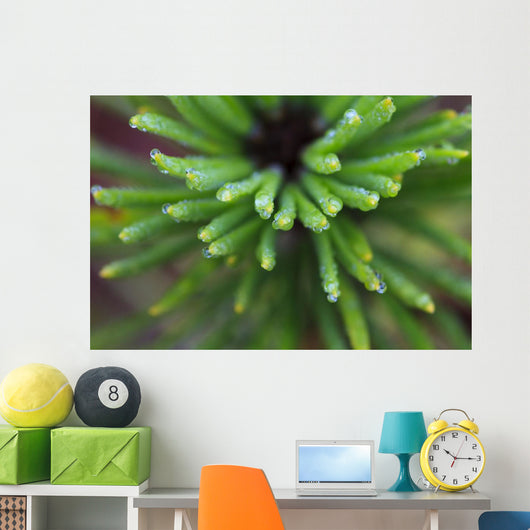 Up Water Droplets Tips Wall Decal