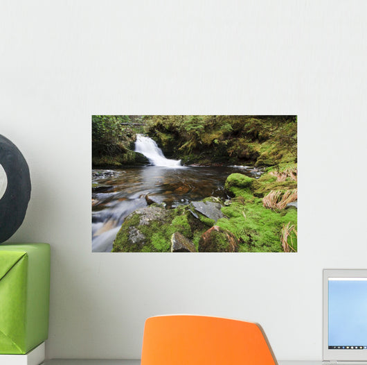 Small Cascade Institute Creek Wall Decal