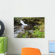 Small Cascade Institute Creek Wall Decal