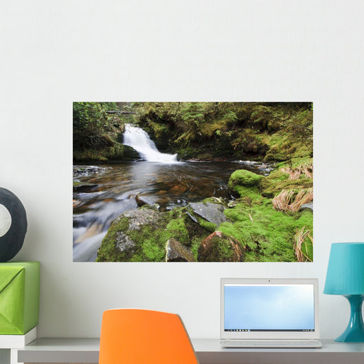 Small Cascade Institute Creek Wall Decal