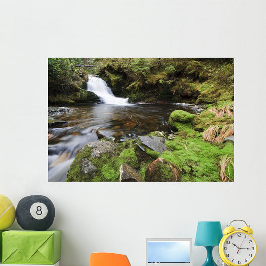 Small Cascade Institute Creek Wall Decal