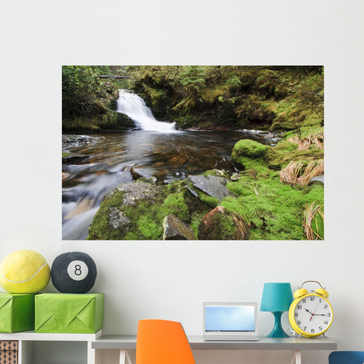 Small Cascade Institute Creek Wall Decal