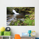 Small Cascade Institute Creek Wall Decal