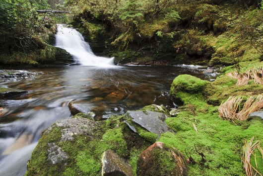 Small Cascade Institute Creek Wall Decal
