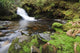 Small Cascade Institute Creek Wall Decal