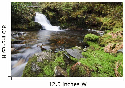 Small Cascade Institute Creek Wall Decal