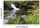 Small Cascade Institute Creek Wall Decal