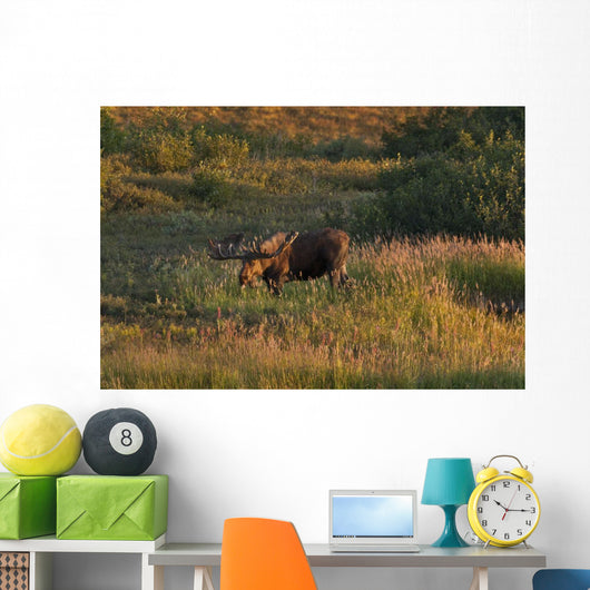 Bull Moose Stands Fall-colored Wall Decal