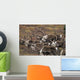 Group Bull Caribou Begin Wall Decal