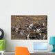 Group Bull Caribou Begin Wall Decal