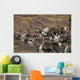 Group Bull Caribou Begin Wall Decal