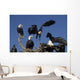 Bald Eagles Congregate Homer Wall Decal