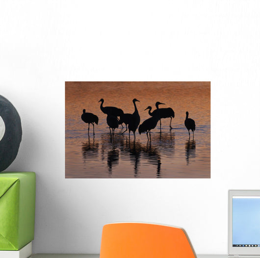 Silhouette Sandhill Cranes Wading Wall Decal