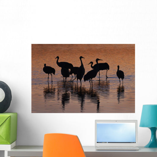 Silhouette Sandhill Cranes Wading Wall Decal