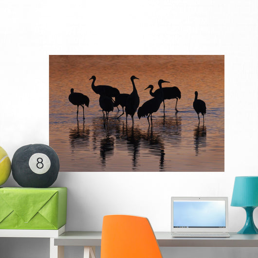 Silhouette Sandhill Cranes Wading Wall Decal