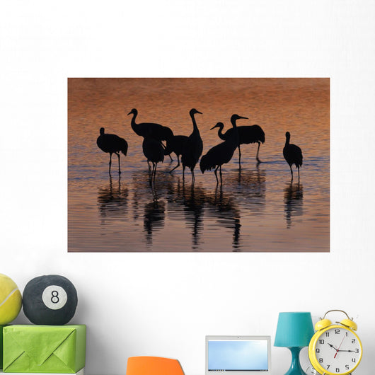 Silhouette Sandhill Cranes Wading Wall Decal