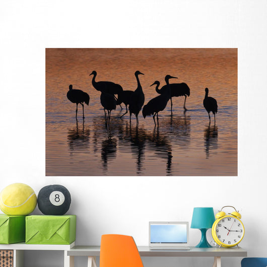 Silhouette Sandhill Cranes Wading Wall Decal