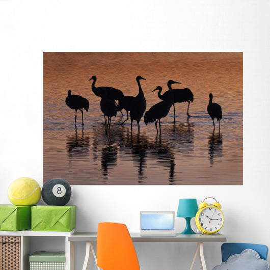 Silhouette Sandhill Cranes Wading Wall Decal