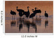 Silhouette Sandhill Cranes Wading Wall Decal