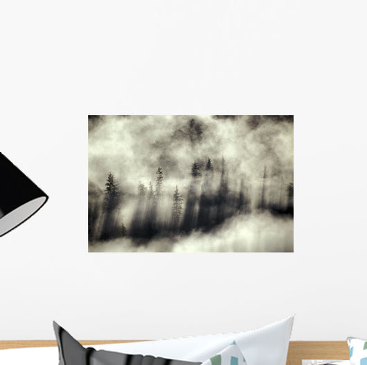 Foggy Landscape Stephens Passage Wall Decal
