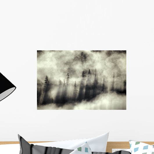 Foggy Landscape Stephens Passage Wall Decal