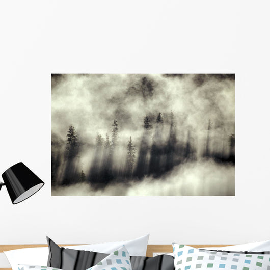 Foggy Landscape Stephens Passage Wall Decal