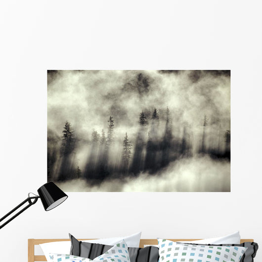 Foggy Landscape Stephens Passage Wall Decal