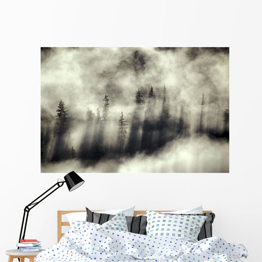 Foggy Landscape Stephens Passage Wall Decal