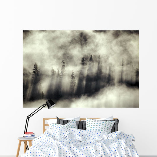 Foggy Landscape Stephens Passage Wall Decal
