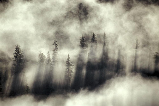 Foggy Landscape Stephens Passage Wall Decal