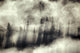 Foggy Landscape Stephens Passage Wall Decal