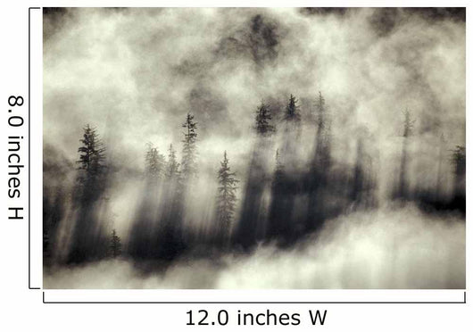 Foggy Landscape Stephens Passage Wall Decal
