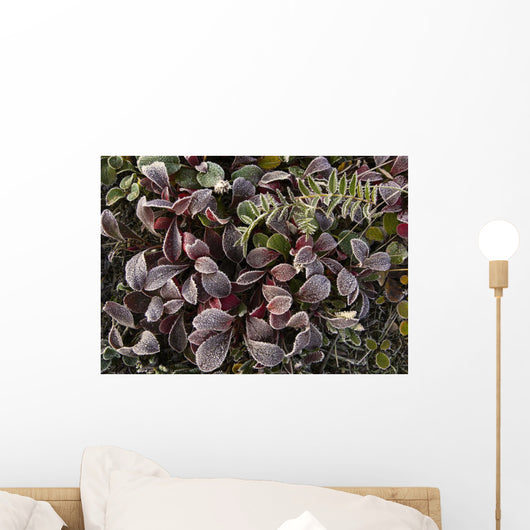Up Frost Covered Plants Wall Decal