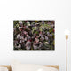 Up Frost Covered Plants Wall Decal