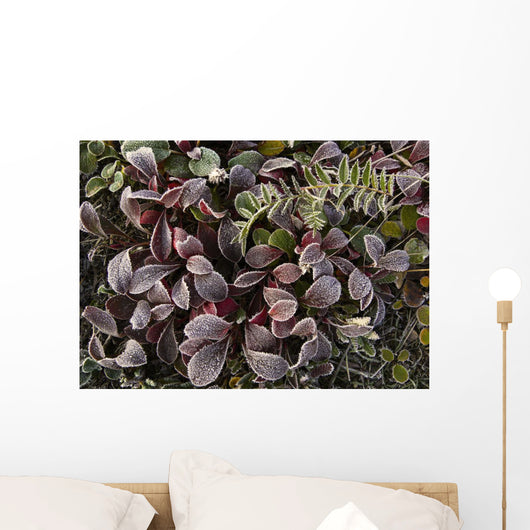 Up Frost Covered Plants Wall Decal