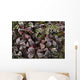 Up Frost Covered Plants Wall Decal
