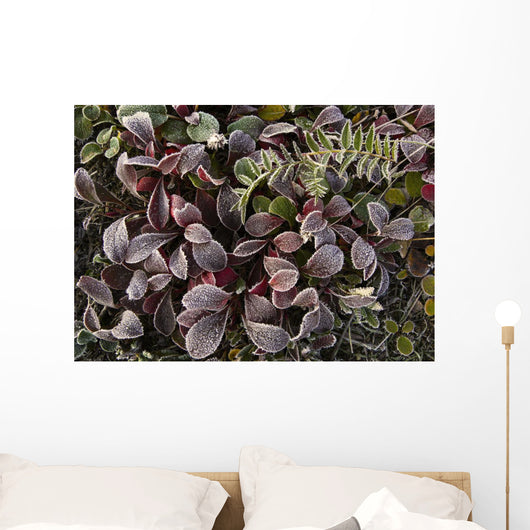 Up Frost Covered Plants Wall Decal