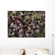 Up Frost Covered Plants Wall Decal