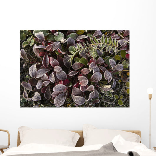 Up Frost Covered Plants Wall Decal