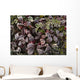 Up Frost Covered Plants Wall Decal