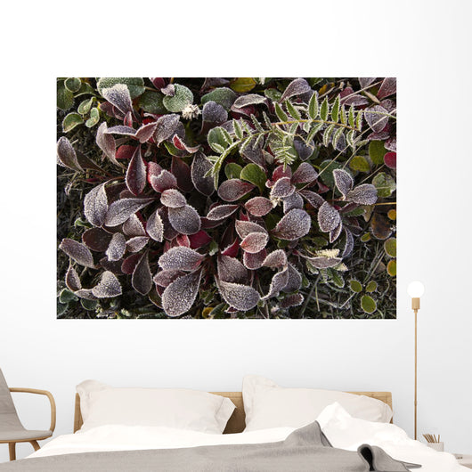 Up Frost Covered Plants Wall Decal
