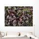 Up Frost Covered Plants Wall Decal