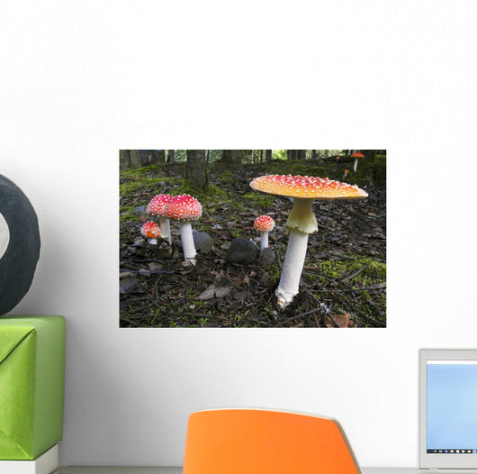 Up Fly Agaric Mushrooms Wall Decal