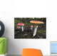 Up Fly Agaric Mushrooms Wall Decal