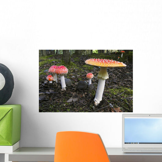 Up Fly Agaric Mushrooms Wall Decal