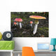 Up Fly Agaric Mushrooms Wall Decal