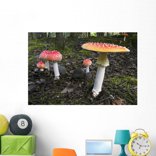 Up Fly Agaric Mushrooms Wall Decal