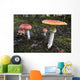 Up Fly Agaric Mushrooms Wall Decal